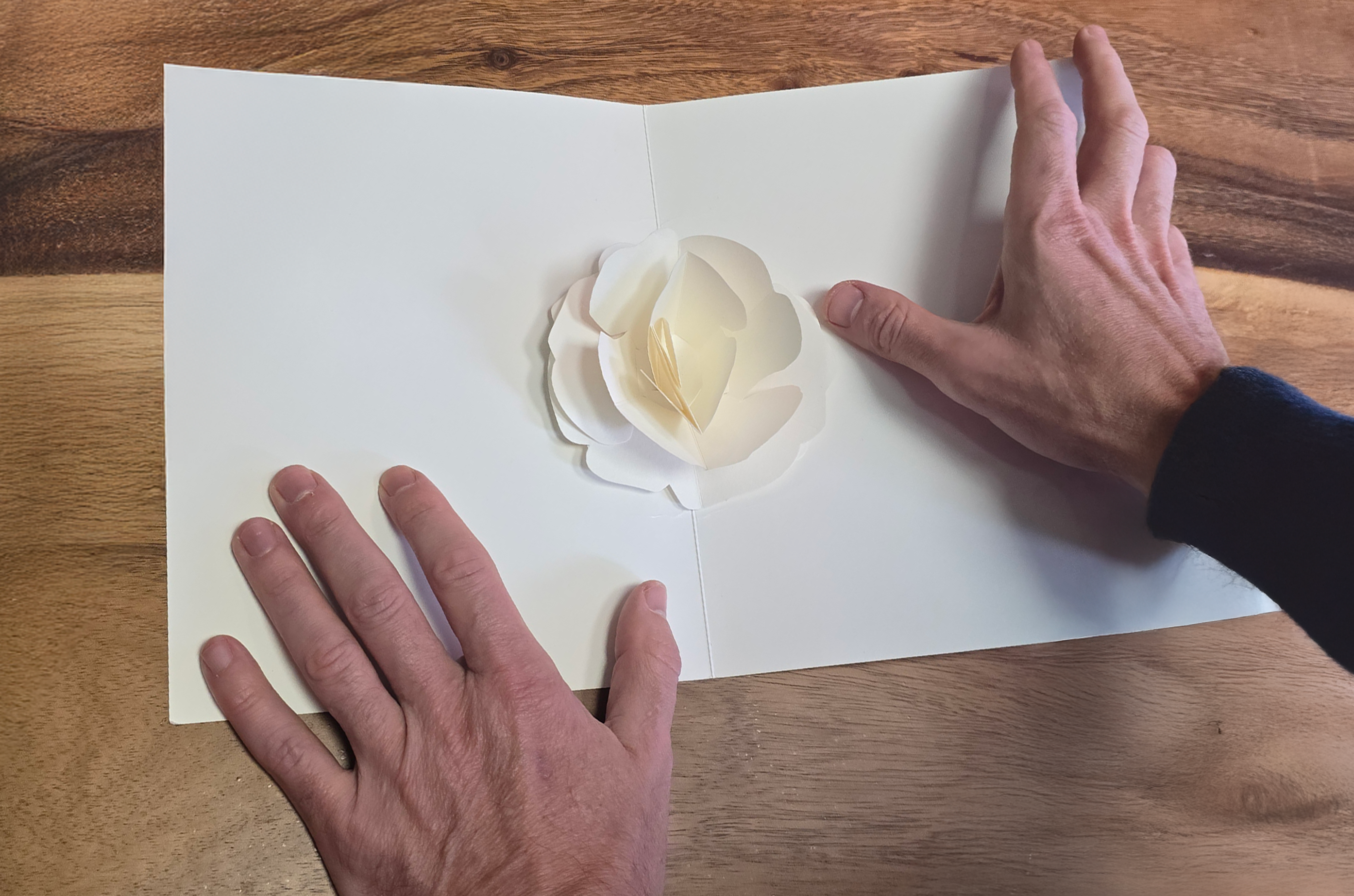 LUXE - NFDS LUXE - NFDS